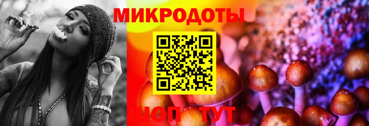 Луга  Галлюциногенные грибы Magic Shrooms  Вход с VPN 